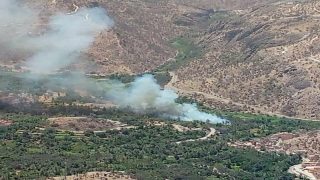 نشوب حريق بواحة تارگا نتوشكا باشتوكة