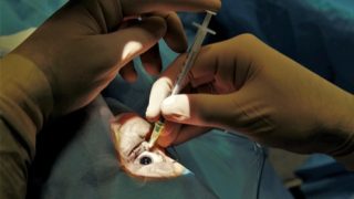 الفرقة الوطنية تواصل تحقيقاتها بشأن “حقنة20 غشت” والمتضررون يطالبون بإيفاد لجنة وزارية