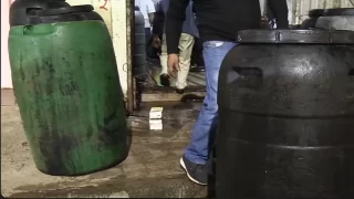 حجز كميات من زيت الزيتون المغشوشة وقرابة طن من أنواع الزيتون الفاسد بالعيون