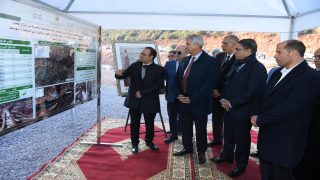 توزيع 24430 من رؤوس الماشية لفائدة 2443 كسابا متضررا من الزلزال على مستوى إقليمي الحوز وشيشاوة