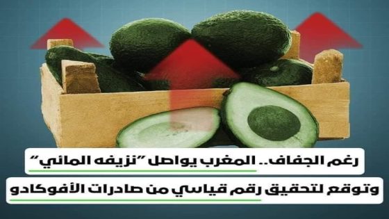 بعد سوء تدبير الحكومة للمياه، هل يتدخل الملك لإنقاذ الشعب من الموت عطشا ؟