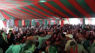 مقدوفات المحبس لم تمنع مهرجان المسيرة الخضراء.. والرد كان حازما