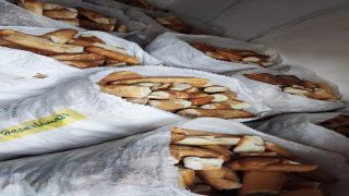 الخبز اليابس يخرج مندوبية التامك عن صمتها