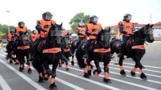 أحكام بالسجن النافذ في قضية استيراد خيول مريضة لصالح الأمن الوطني