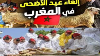 هل يتراجع الملك عن قراره إلغاء شعيرة الاضحى لهذا العام ؟ وهل تعيد وزارة الفلاحة الإحصاء ؟