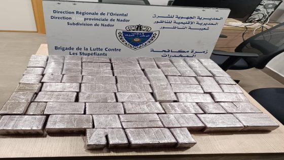 إحباط محاولة تهريب حوالي 26 كيلوغراما من مخدر “الشيرا” بميناء الناظور