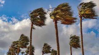 المديرية العامة للأرصاد الجوية تحذر من حالة جوية مضطربة بالمملكة