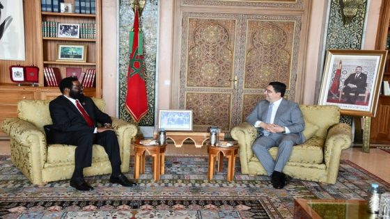 بوريطة يستقبل مسؤولا ببرلمان غانا