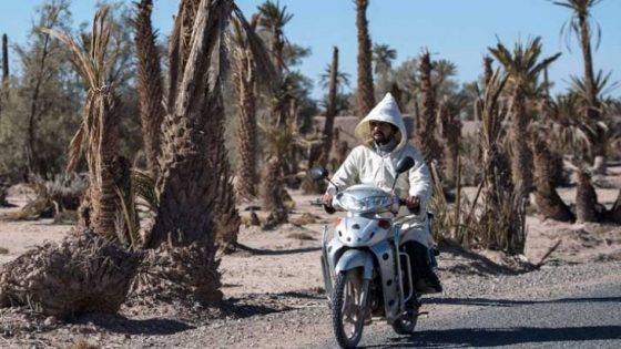 مديرية الأرصاد: أجواء غير مستقرة وحرارة مفرطة في مجموعة من مناطق المملكة