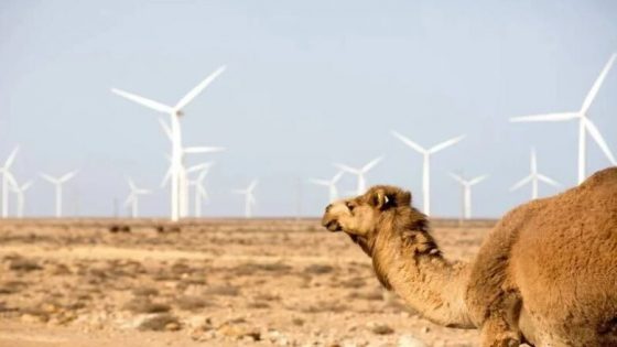 إطلاق شراكة “استراتيجية” لتطوير محطة ريحية بقدرة 100 ميغاواط بالعيون