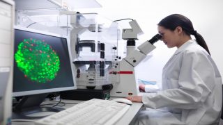 إنجاز علمي مغربي في مجال أبحاث الخلايا الجذعية