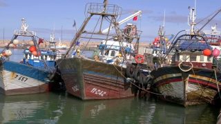 طانطان.. ارتفاع قيمة مفرغات الصيد بالميناء عند متم غشت المنصرم