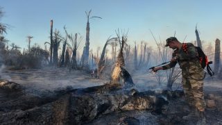 طاطا.. جهود مشتركة تنجح في السيطرة على النيران بواحة تيكسلت