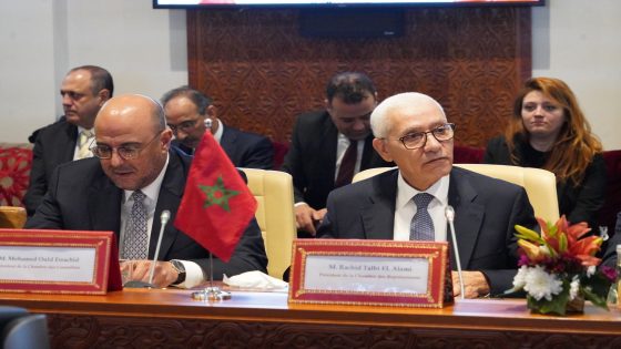 رؤساء وممثلو المؤسسات التشريعية في المغرب وفرنسا يؤكدون عزمهم على مواصلة الشراكة والتعاون بين برلماني البلدين