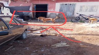 بلفاع… اختلالات صحية بسوق الأسبوع تثير غضب الساكنة