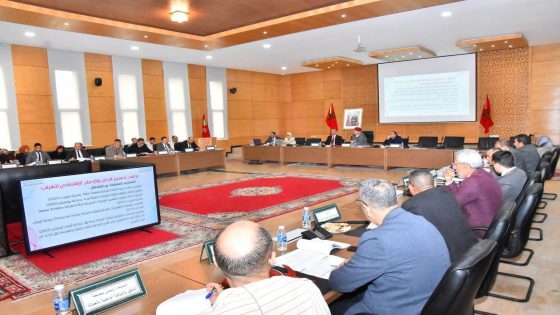 تزنيت: عامل الإقليم يترأس اجتماعاً لتتبع تنفيذ برامج المبادرة الوطنية للتنمية البشرية برسم سنة 2025