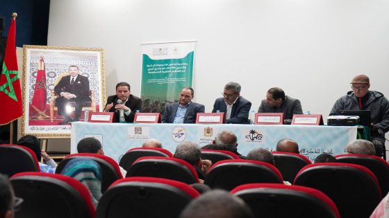 الإعلام يوثق ذاكرة المقاومة بالأقاليم الجنوبية للمملكة