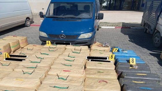 الصويرة: إحباط محاولة تهريب دولي للمخدرات وحجز أزيد من 11 طناً من “الشيرا”