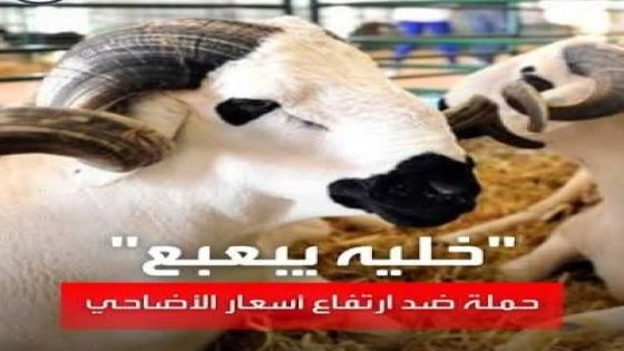 بعد تحدي لفراقشية للمغاربة بشراء اضحية العيد رغما عنهم . هل تنجح حملة المقاطعة الاخيرة ؟