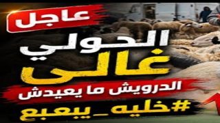 هنيئا لنا خروف الألف درهم