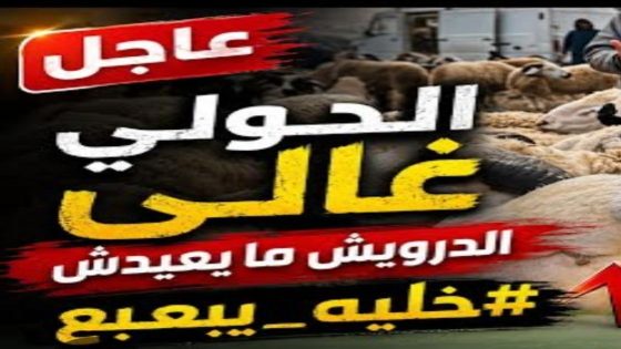 هنيئا لنا خروف الألف درهم