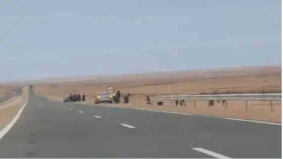 توقيف 24 مهاجراً سرياً في عملية أمنية للدرك الملكي