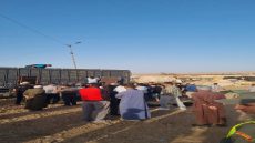 السلطات المحلية بطانطان تكثف المراقبة بسوق الأضاحي وتضبط حالة تلبس بمضاربة الأسعار