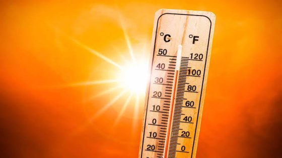 الأرصاد الجوية تحذر من موجة حر تصل إلى 43 درجة وأمطار رعدية مصحوبة بالبرد بعدد من أقاليم المملكة