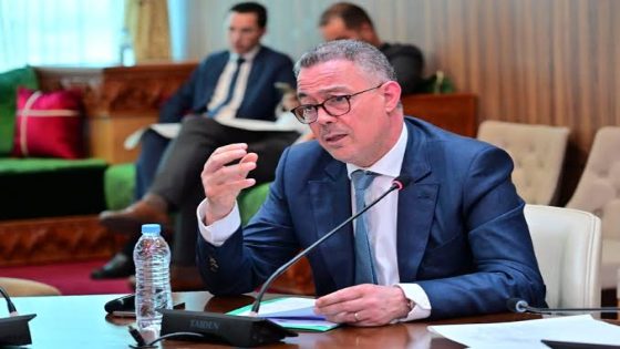 لقجع: الاستفادة من الدعم الاجتماعي المباشر تؤثر على ولوج بعض المستفيدين إلى سوق الشغل