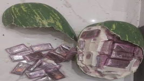 إحباط محاولة للتهريب الدولي للمخدرات بطنجة وحجز 700 كيلوغرام من الشيرا