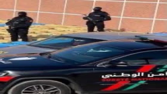 الديستي والشرطة القضائية تحجزان نحو نصف طن من المخدرات بضواحي تارودانت