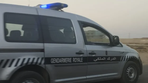 درك بلفاع يحجز أزيد من طن من القنب الهندي داخل منزل مهجور