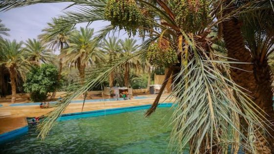 مديرية الأرصاد تتوقع طقسا حارا بعدد من مناطق المملكة