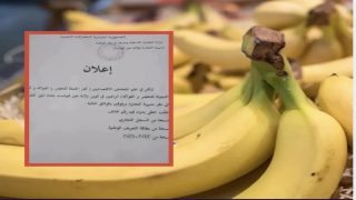 قصة “جمهورية الموز” مع تقنين هذه المادة الحيوية وتقييد التجارة فيها بالجزائر إلا بشروط صارمة .